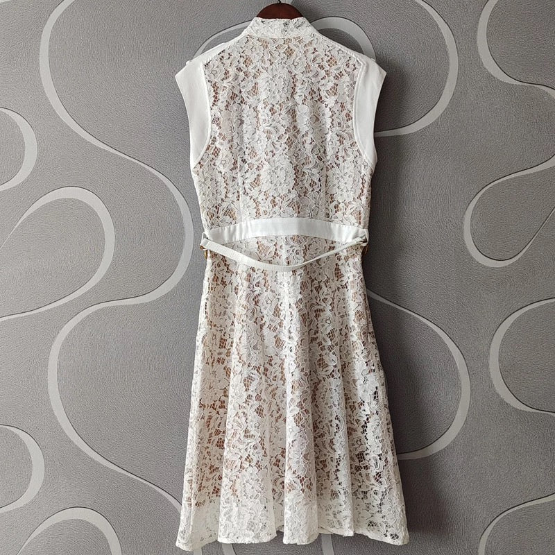 Runway Lace Elegant Dress