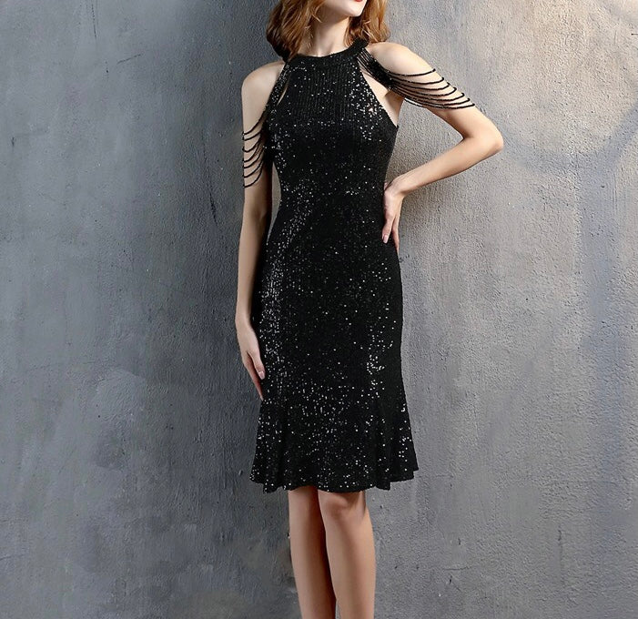 Beaded Tassel Sequinned Dress