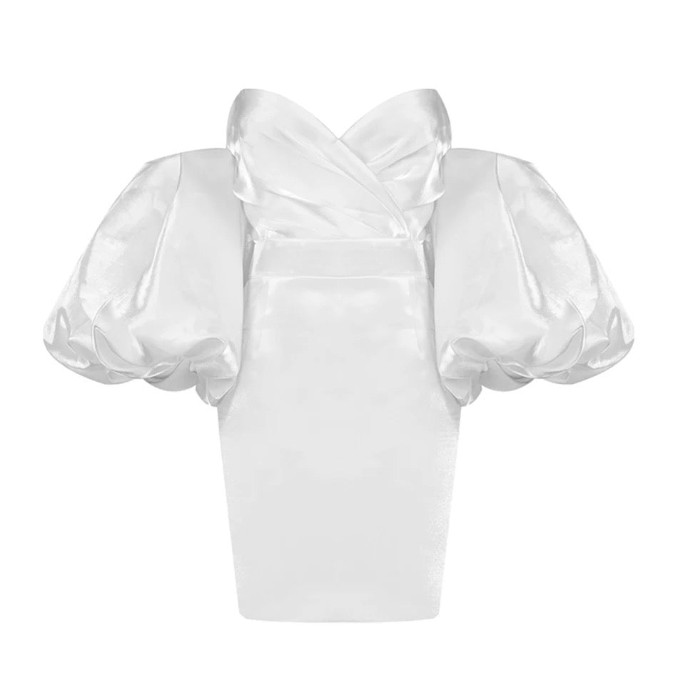 Trendy Puff Sleeves Mini Dress