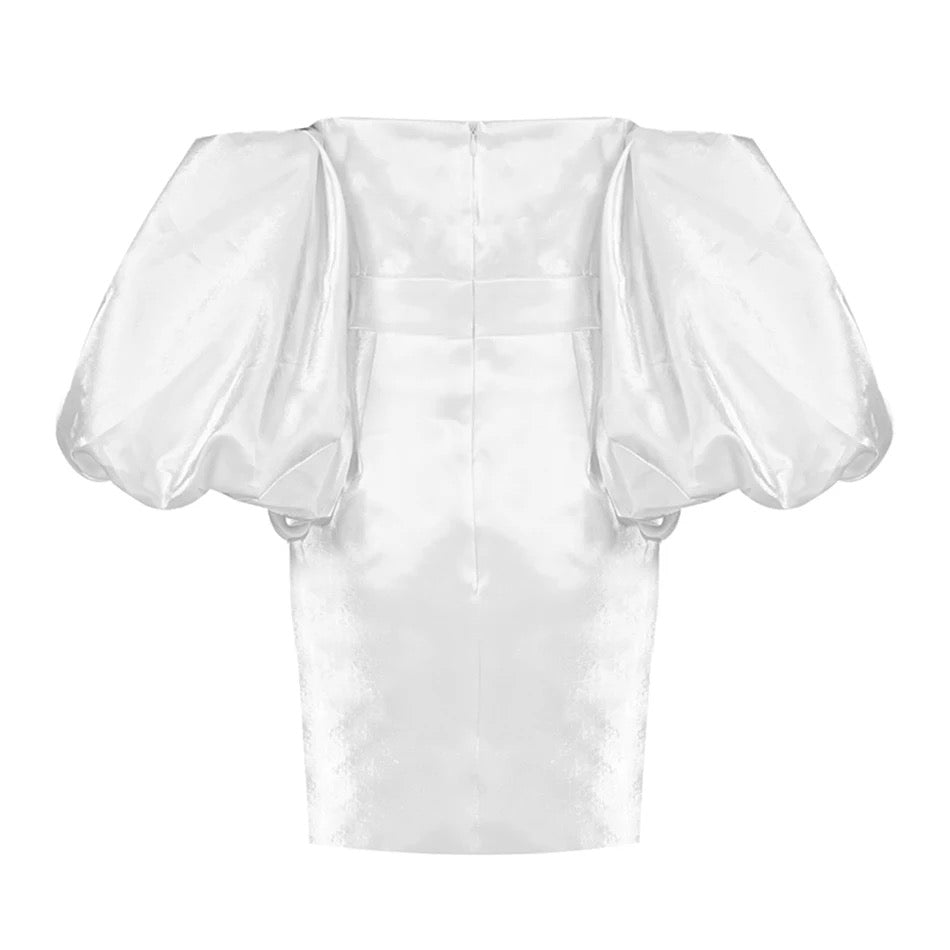 Trendy Puff Sleeves Mini Dress