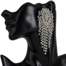 Load image into Gallery viewer, Trendy Crystal Drop Earrings