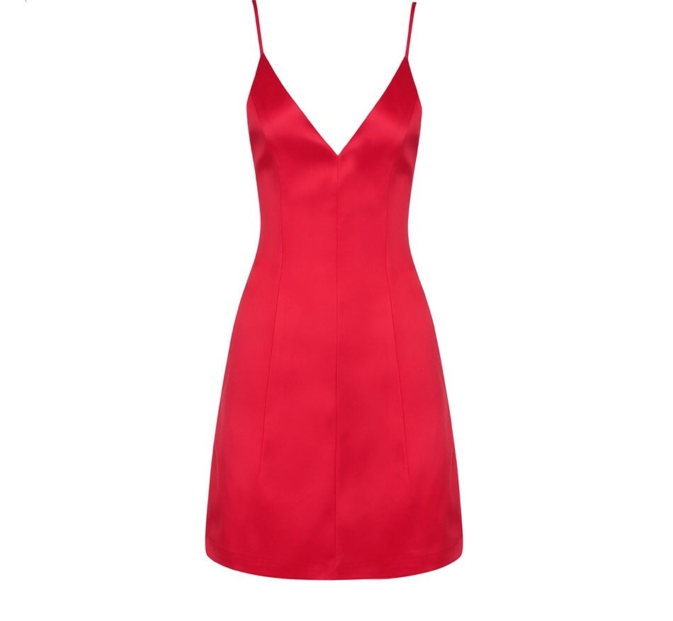Elegant Celebrity Mini Dress